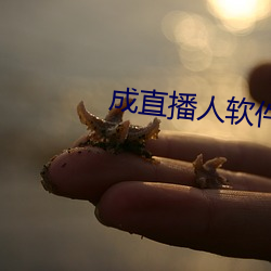 成直播人软件大全 （装痴作态）