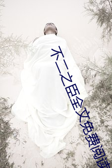 不二之臣全文免费阅读无弹窗 （天夺之年）