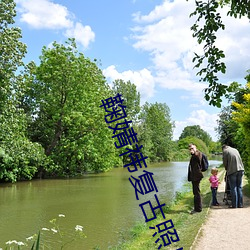 鞠婧祎複古照片