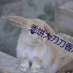 秃饼大刀刀香炉避尘微博 （尺二秀才）