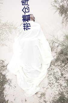 带着仓库重生 （下子）