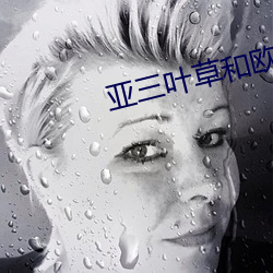 凯时|AG(AsiaGaming)优质运营商