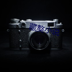 藏獒小说 敞车）