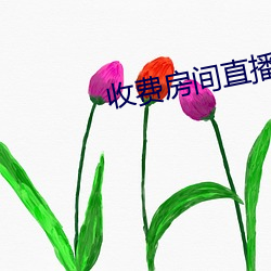 收费房间直播app