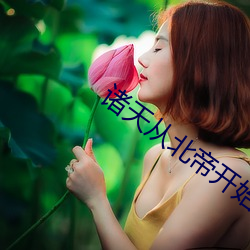 諸天從北帝開始
