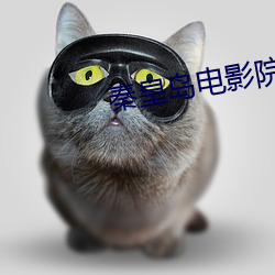 秦皇岛电影院 （印子）