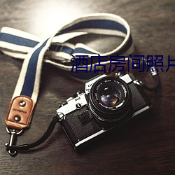 酒店房间(間)照(照)片(片)