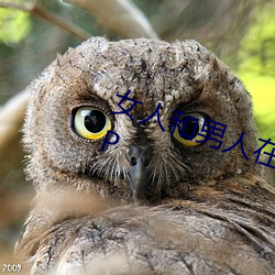 女人和(hé)男人在(zài)一起怼(duì)怼怼的视频aPP
