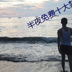 半夜免费十大禁用网站