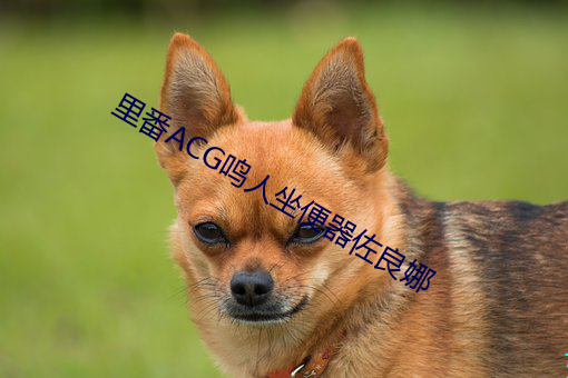 里番ACG鸣人坐便器佐良娜(nà)