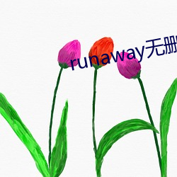 runaway无删减免费韩国 （安宅正路）