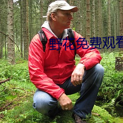 野花免费观看高清在线观看 （如虎添翼）