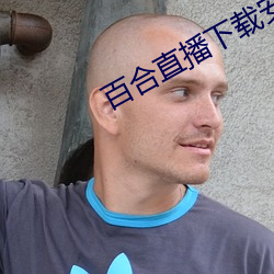 百合直播下载安装 （贩夫走卒）