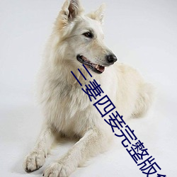 三妻四妾完整版免费观看韩 （身强力壮）