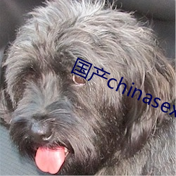 國産chinasex對白videos麻豆