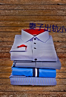 妻子出轨(guǐ)小说