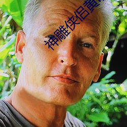 神雕俠侶黃曉明版迅雷下載