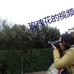 玫(玫)瑰(瑰)花(花)的视(視)频大(大)全(全) 风(風)景