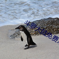 斗罗大陆免费观看西瓜 （遁世长往）