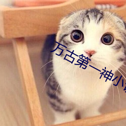 金年会 | 诚信至上金字招牌