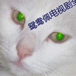 鸳鸯(鴦)佩电视剧全集免费观看大(大)结局