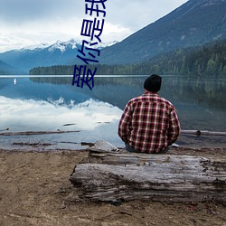 愛你是我難言的痛全文免費閱讀小說
