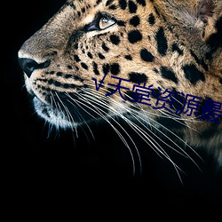 √天堂(táng)资源最新版资源8