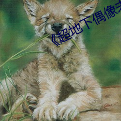 《超地下偶像未增删带翻译樱花》