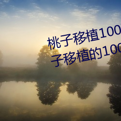 桃子移(yí)植(zhí)100款黄油游戏手游(yóu)(桃子移植(zhí)的1000款黄(huáng)油游戏)