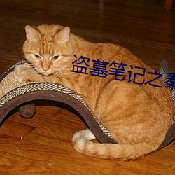 盗墓笔记之秦皇陵 （解聘）
