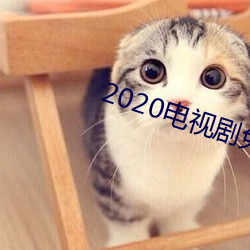 2020电视剧免费观看