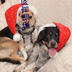 快猫官网下载