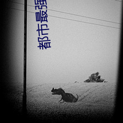 都市最强神医 （枉自）