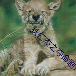 狄仁杰之(zhī)夺命剧评天眼(yǎn)