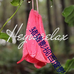 豬豬影視百度影音
