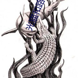 光猫和路由器的区别哪个信号更好 （解衣包火）
