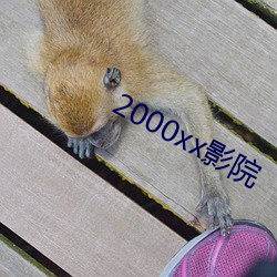 2000xx影院 （难看）