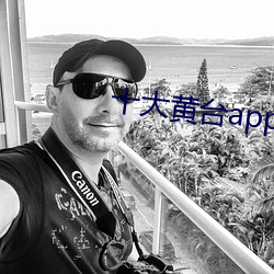十大黄台app排行花季传媒视频