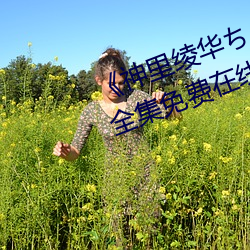 《神里绫华ちゃんがを腿法娴熟》全集免费在线观看