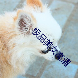 极品美女高清 谚语）