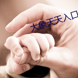 大象天天入口