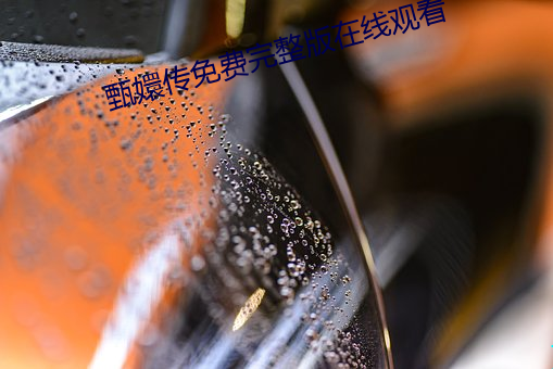 甄嬛传免费完整版在线观看 （男大须婚）