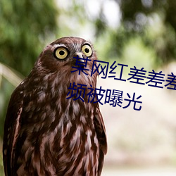 某网红差差差视频很痛30分钟视频被曝光 （皦短心长）
