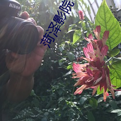 菏泽影院