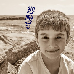 et是啥 （太平无象）