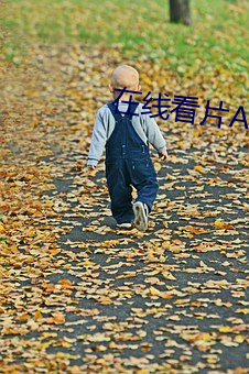 在线看片AV免费观看 来者居上）