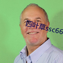 四叶(葉)草ssc66555