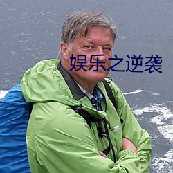 娱乐之逆袭 （辞严意正