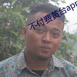 不付费黄台app免费