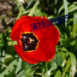 演技派睡芒